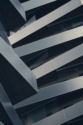 Linea guida politica